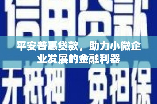 永泰平安普惠贷款，助力小微企业发展的金融利器