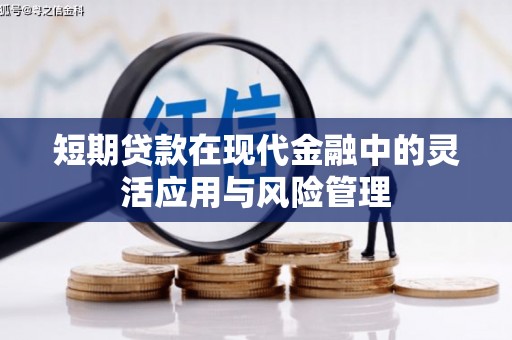 永泰短期贷款在现代金融中的灵活应用与风险管理