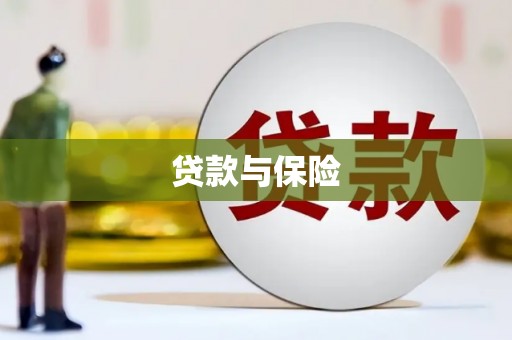 永泰贷款与保险