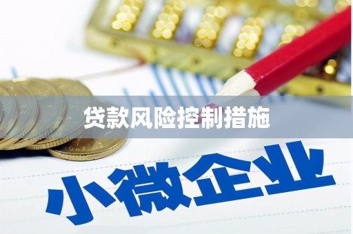 永泰贷款风险控制措施